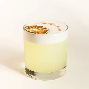 Pisco Sour